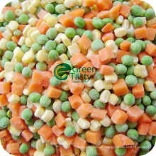 IQF Frozen Mixed Vegetables (3mix) High Quality